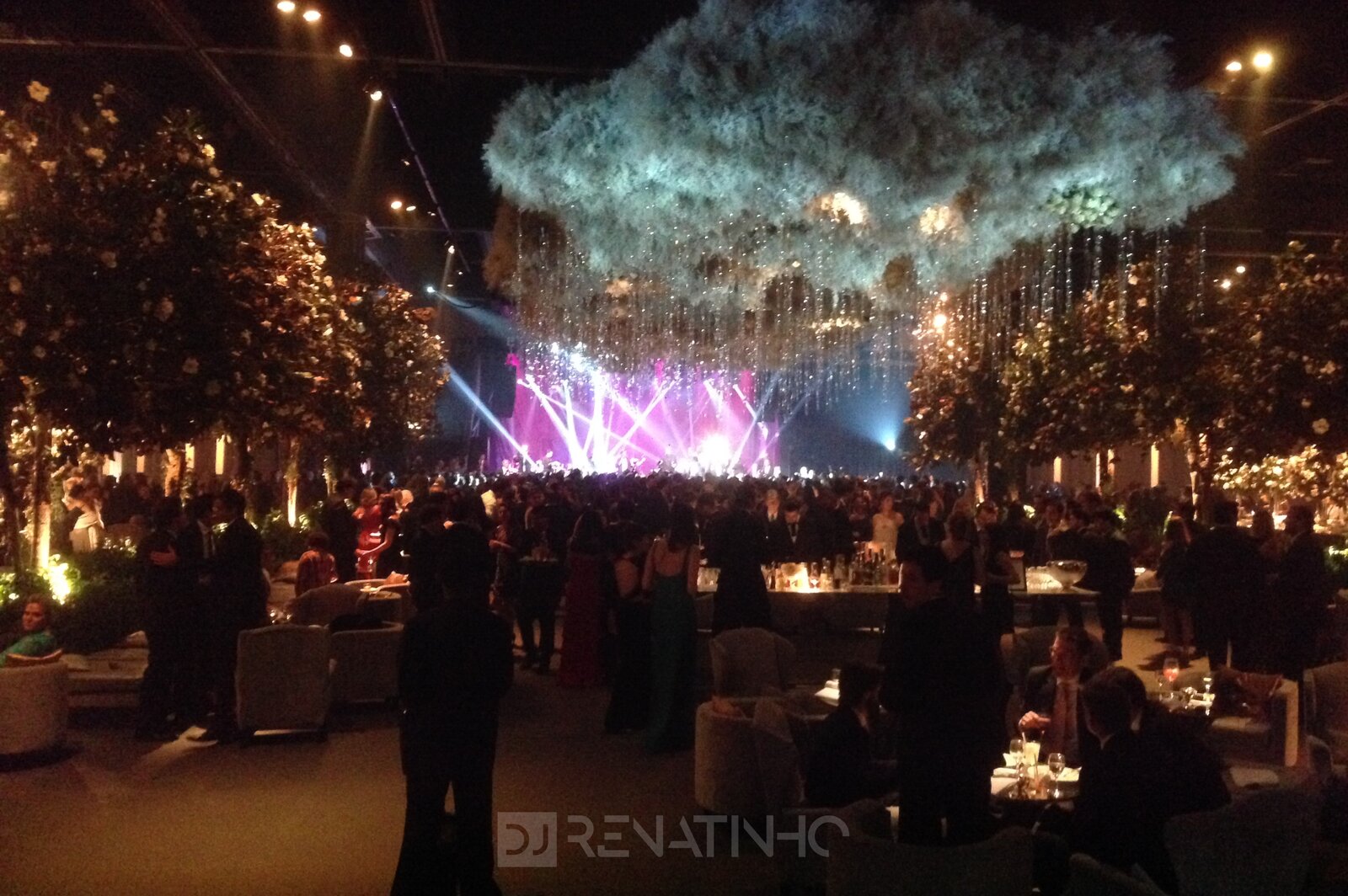 Festa de casamento com DJ Renatinho